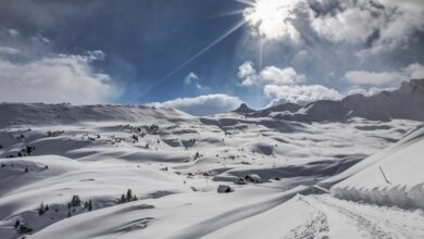 cold chain monitoring